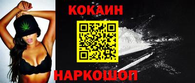 крисы Шахты